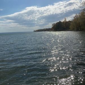 Meet your Posher, Casey